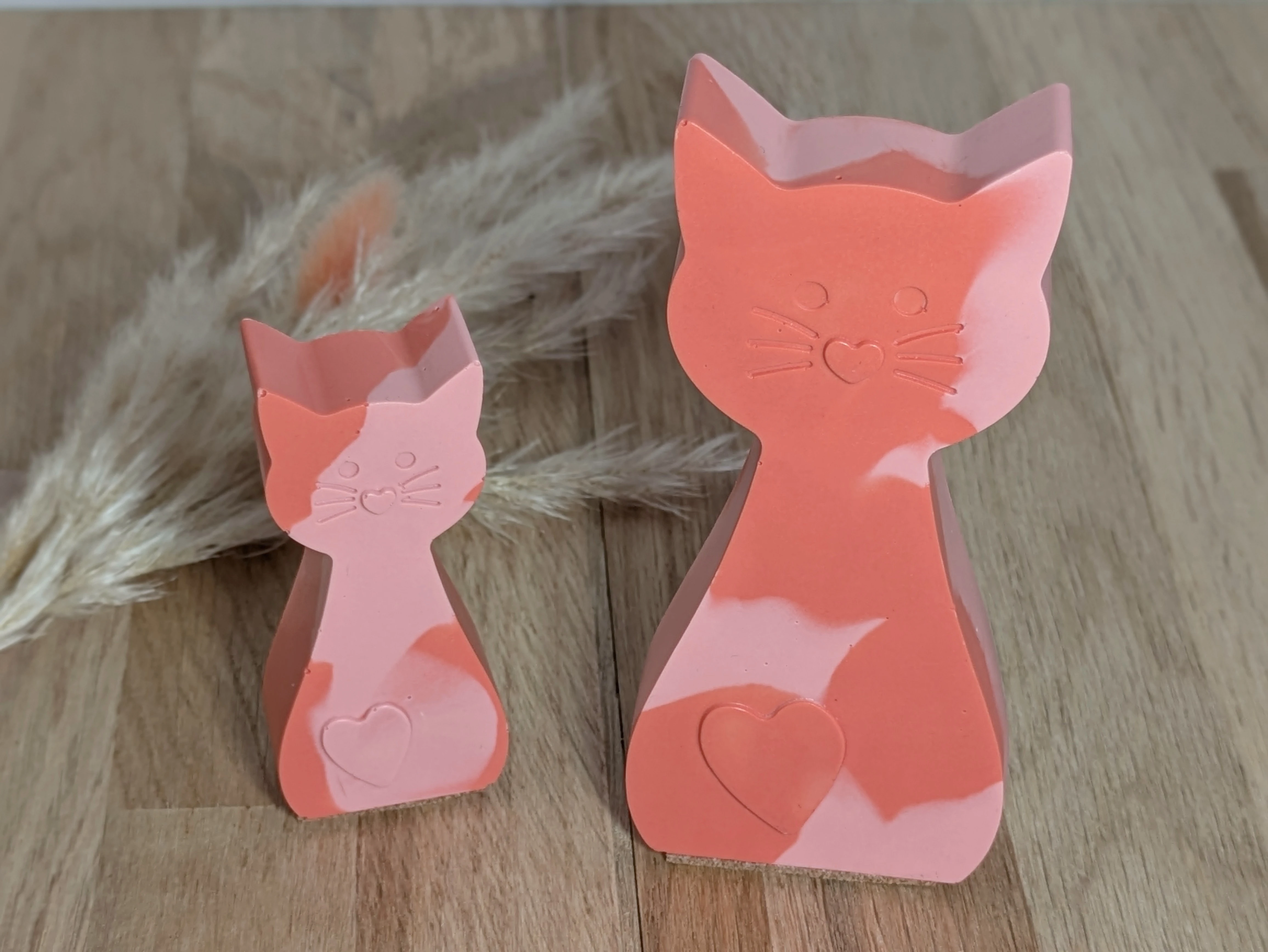 Duo de chats